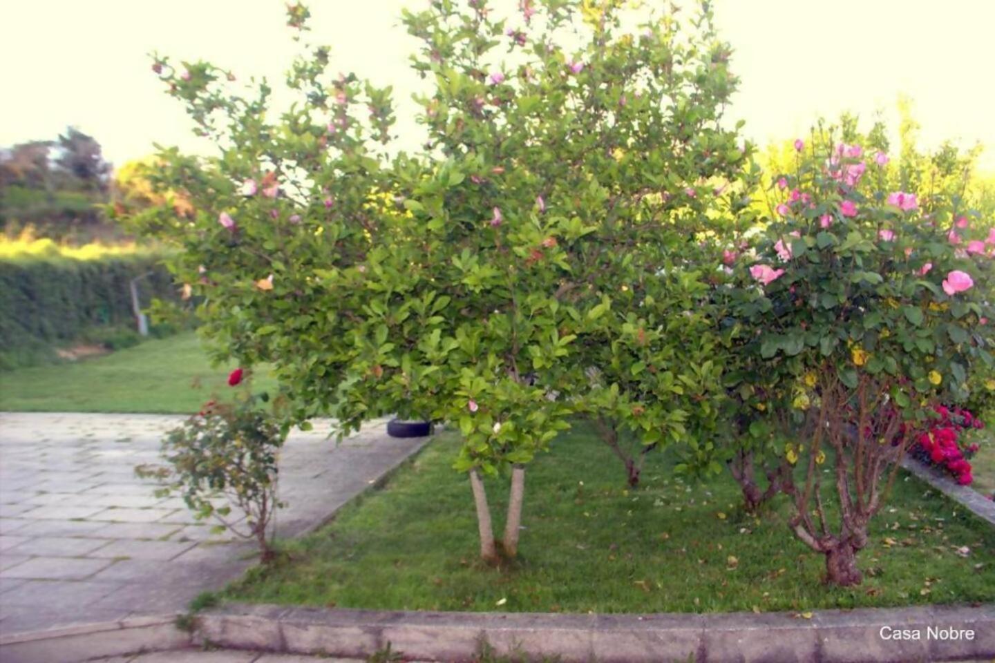 Retiro Na Natureza Casa Com Piscina Digueifel Экстерьер фото